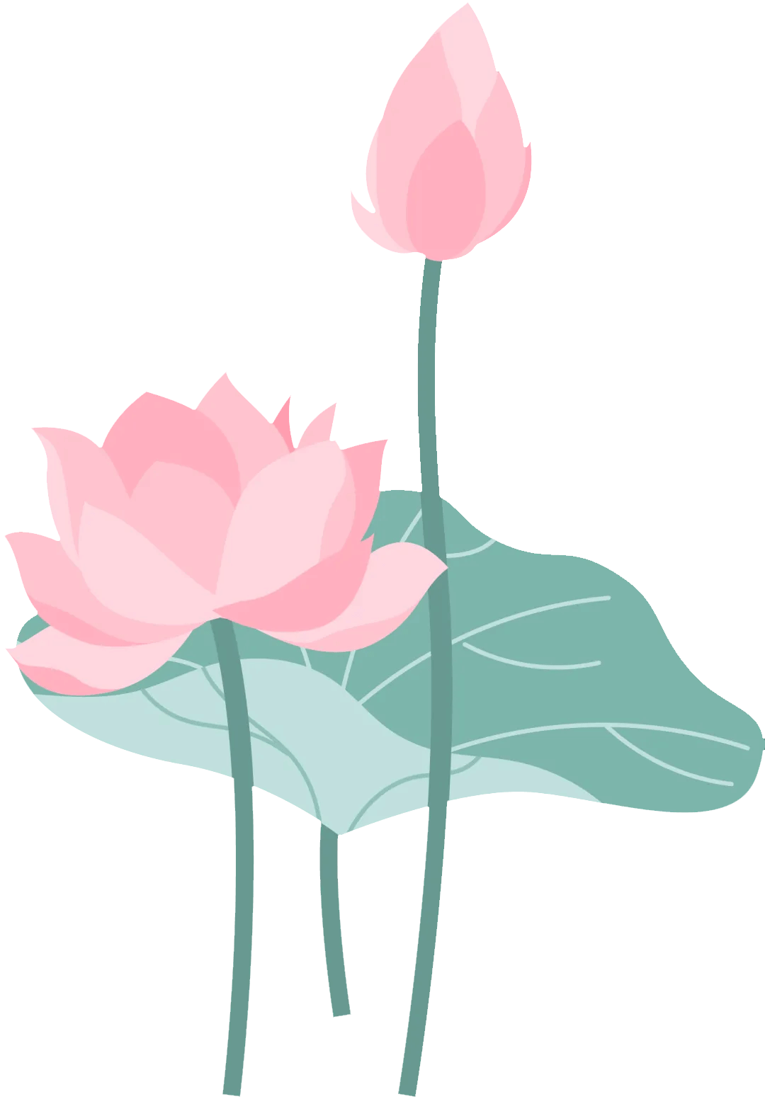 未标题-2.png