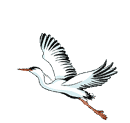 1031790754322102.gif 872a3462b7c586015ae66333ad226d42-sz_676790.gif